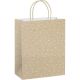 Vrečka darilna eko a4 specialplus 26x35x8 PROMOCIJA